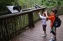 Kids_DZoo_Safari-I (42)